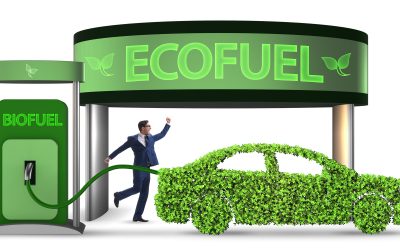 Bio Fuels Definition: