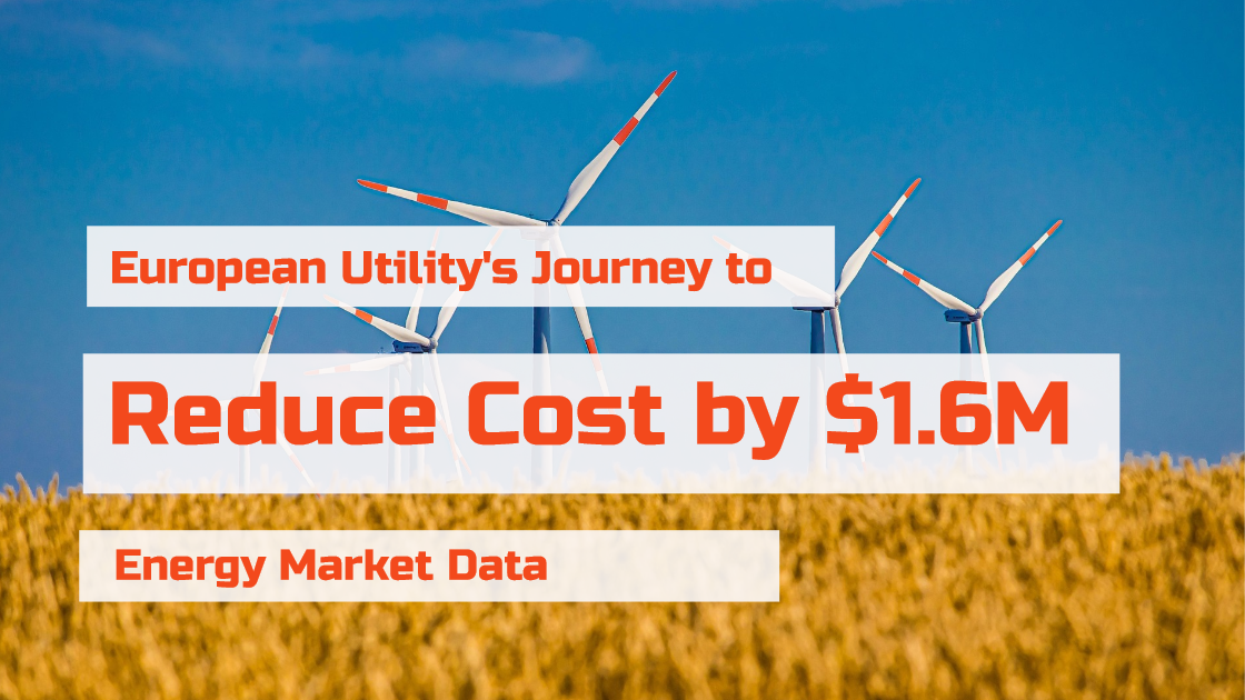 European utility reduce energy market data cost