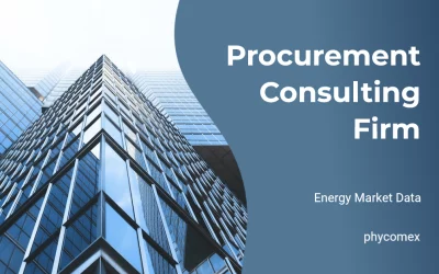 Unlocking Business Value with a Procurement Consulting Firm