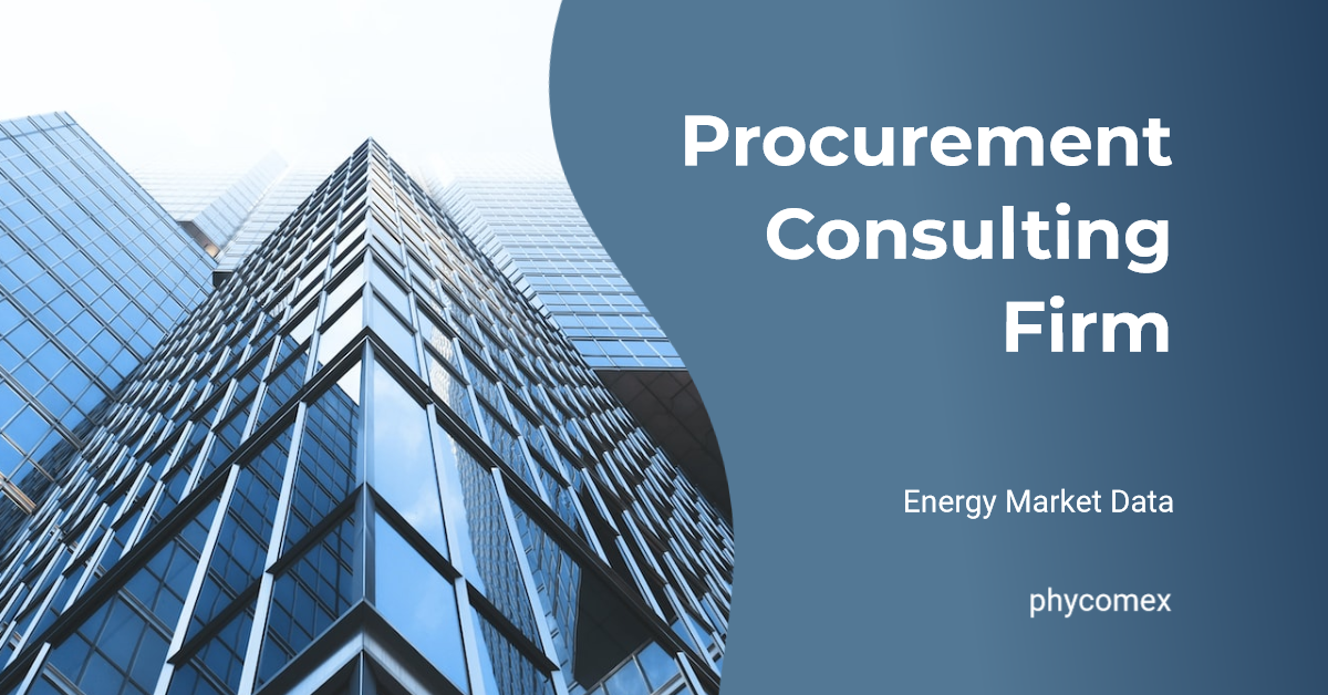 Procurement Consulting Firm
